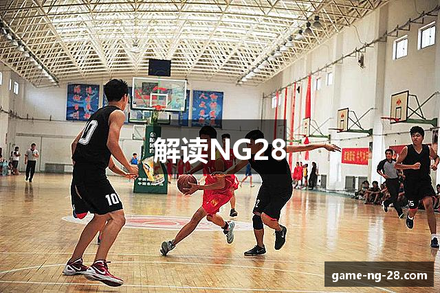 解读NG28